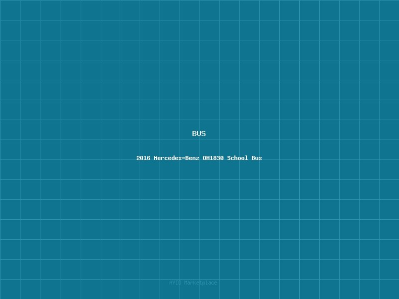 2016 Mercedes-Benz OH1830 School Bus